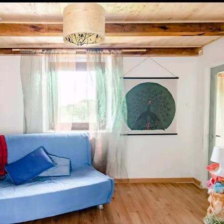 Guest house Amrita Rosa *