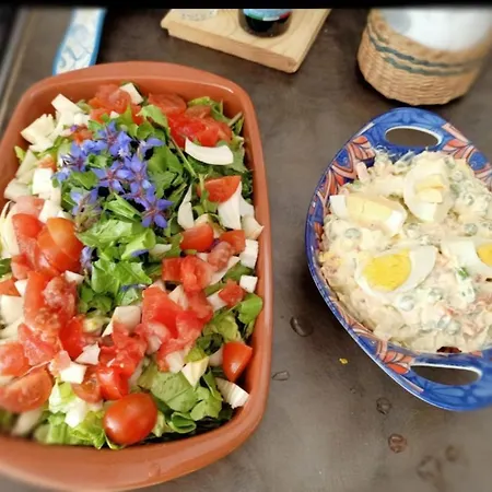 Amrita Rosa 게스트하우스