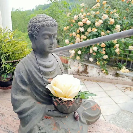 Amrita Rosa * Castellamonte